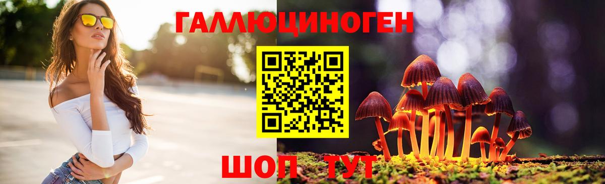 Кисловодск  Галлюциногенные грибы ЛСД  Вход с VPN 