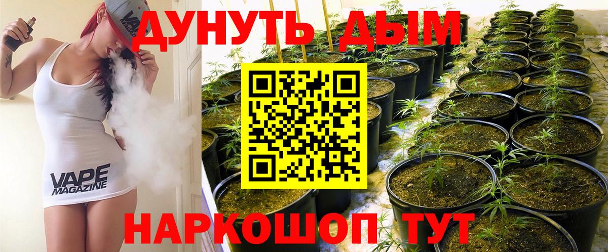 МАРИХУАНА MAZAR  Бошки марихуана план  МАРИХУАНА Amnesia  Вход с VPN  Кисловодск 